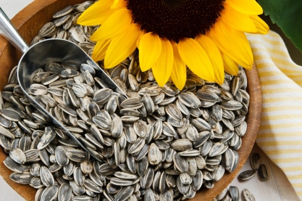 Seminţele de floarea-soarelui – un bun necesar în dieta sănătoasă