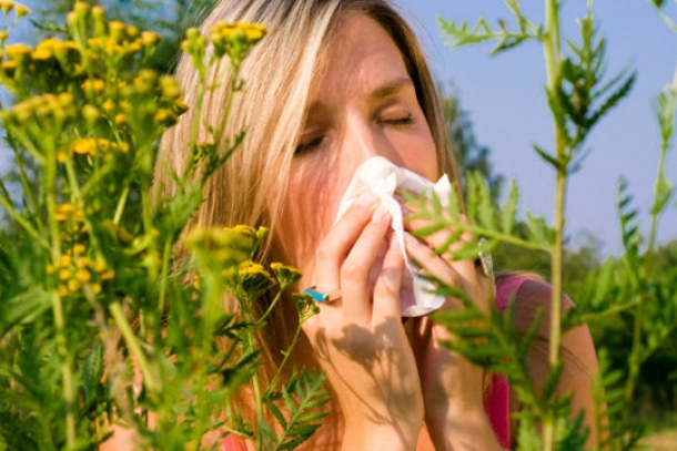 alergii de primavara
