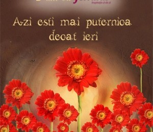 Motiveaza-te!