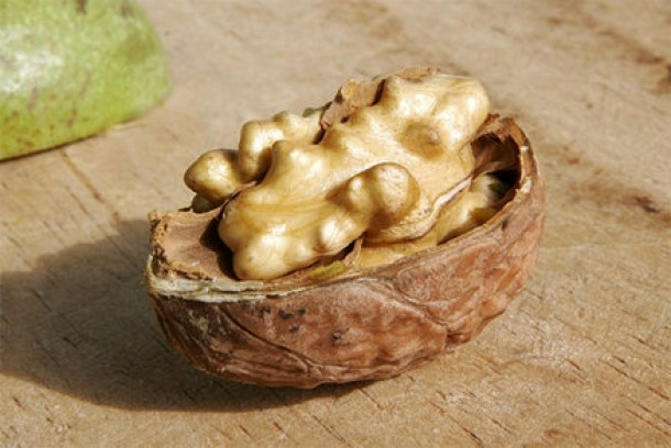 Rontait la nervi?! - Alege nucile!