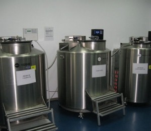 3. In al treilea dispozitiv (dreapta) sunt pastrate probele care au fost contaminate, dar care pot fi transplantate. Clientul este informat de acest lucru, pentru ca in cazul utilizarii lor trebuie intervenit cu antibiotic