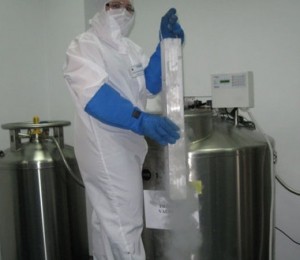 5. Probele sunt pastrate in RAC-uri