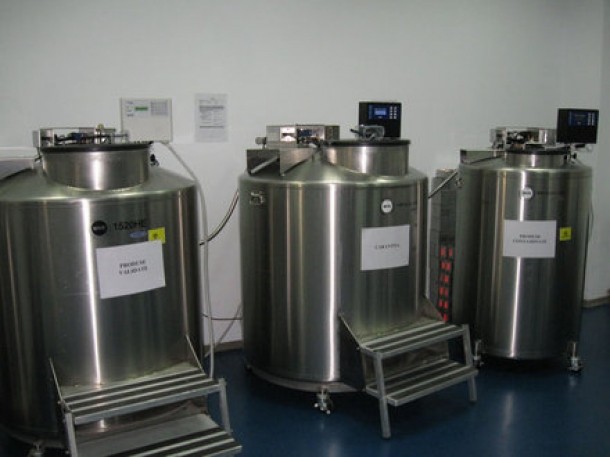 3. In al treilea dispozitiv (dreapta) sunt pastrate probele care au fost contaminate, dar care pot fi transplantate. Clientul este informat de acest lucru, pentru ca in cazul utilizarii lor trebuie intervenit cu antibiotic