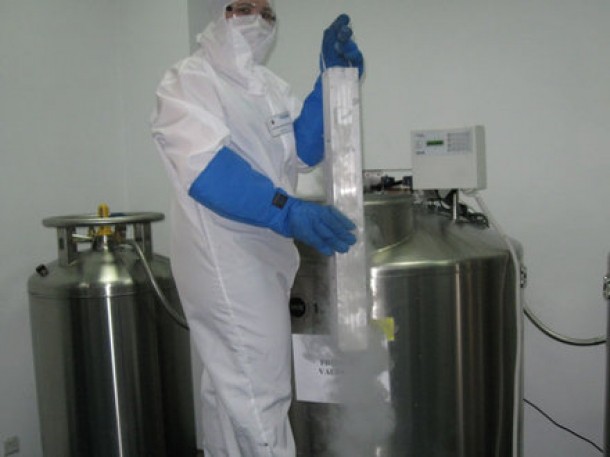 5. Probele sunt pastrate in RAC-uri