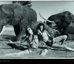 2009+Pirelli+Calendar+Launch+Dinner+Gala