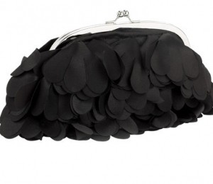 Accesorize - 197,5 Lei