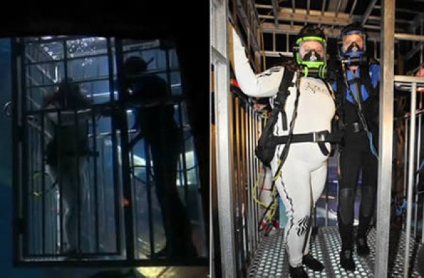 Nunta in cusca cu rechini