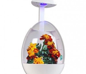 Mini-Sera-USB-(usbmania.ro)---109-lei