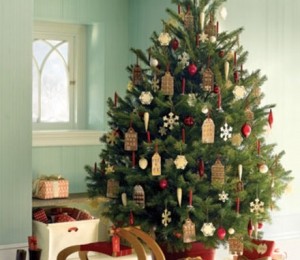 Bradul de turta dulce