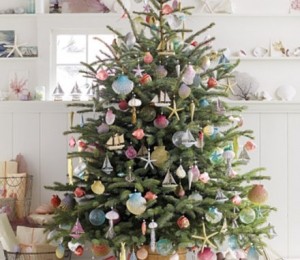 Pomul de pe malul marii