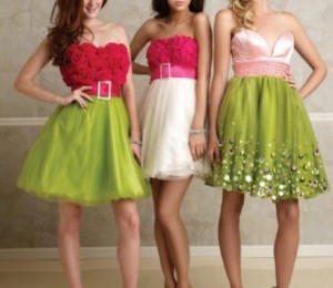 rochiiseara.ro---1250-lei