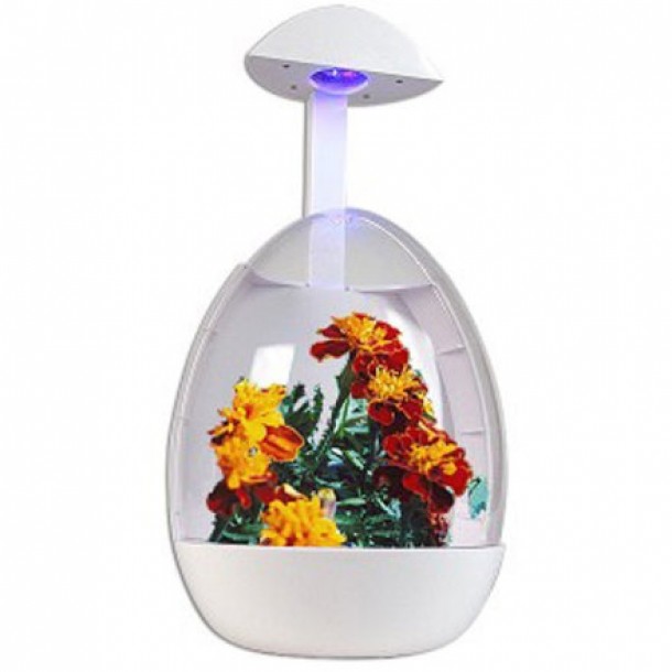 Mini-Sera-USB-(usbmania.ro)---109-lei