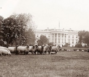 Oi la Casa Alba, Washington