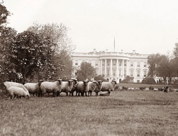 Oi la Casa Alba, Washington