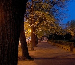 Bulevardul Copou din Iasi