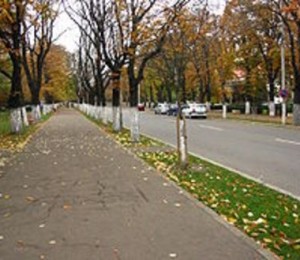 Bulevardul Nicolae Balcescu din Buzau