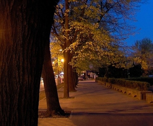 Bulevardul Copou din Iasi