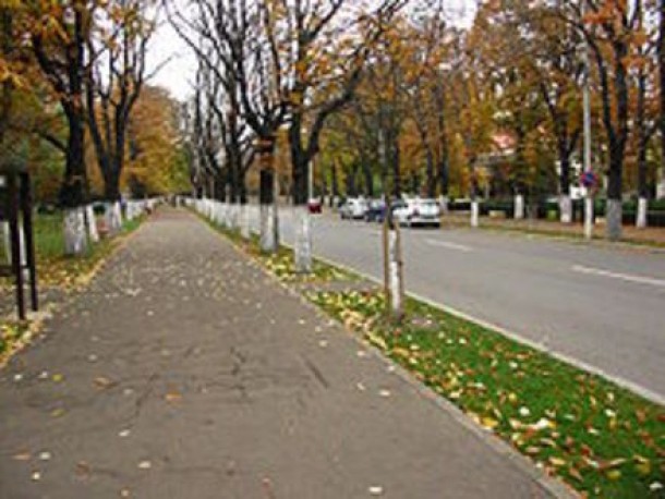 Bulevardul Nicolae Balcescu din Buzau