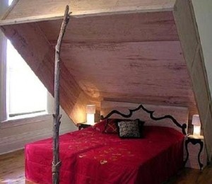 Bed Trap, Patul Capcana