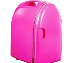 Rac- frigider portabil