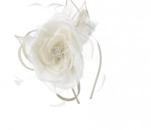 Accessories - 173 lei