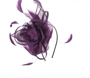 Accessories - 173 lei