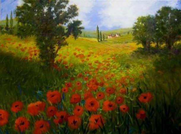 Maci de Toscana - Jan Blencowe