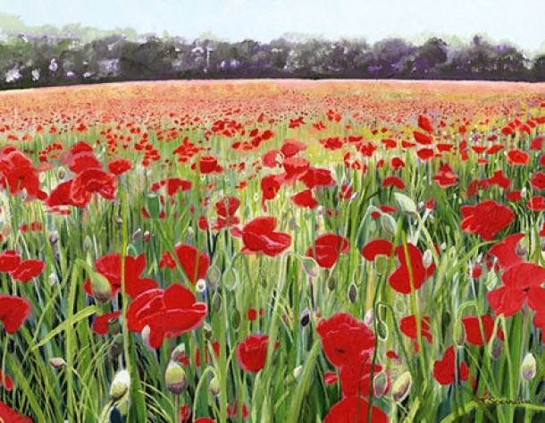 Maci de Pyrford - Teresa Scannella