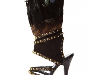 web-exports__amazonia_