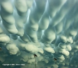 Norii Mammatus