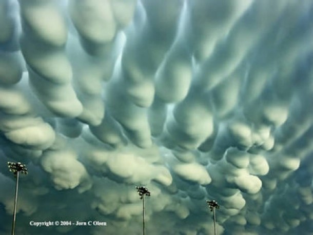 Norii Mammatus