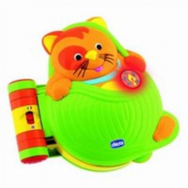 Carte pisicuta 124.00 ron - www.pitikot.ro