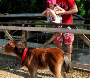 Alexandru Papadopol si Ruxandra