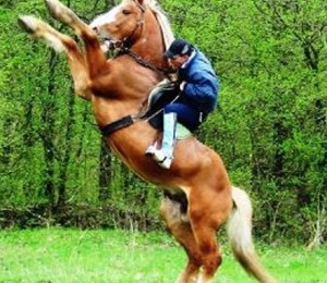 Clubul de echitatie Robin Hood