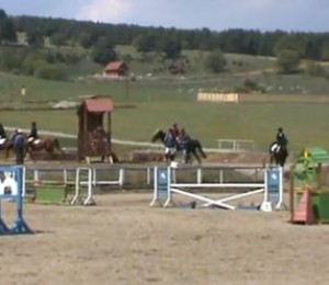 Cluj - Napoca Sport Horse