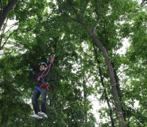 Aventura Parc Lucica