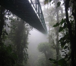 promenada norilor - Sky Walk, Costa Rica