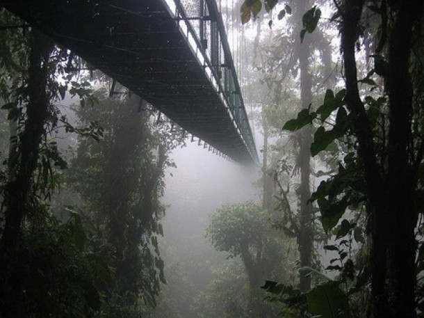 promenada norilor - Sky Walk, Costa Rica