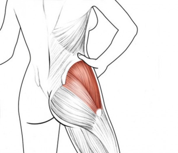 muschiul gluteus medius