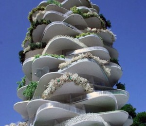 CACTUSUL URBAN