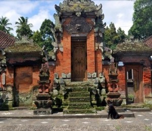 Templele hinduse din Indonezia, India si Bali
