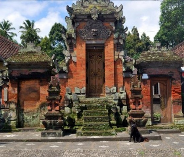 Templele hinduse din Indonezia, India si Bali