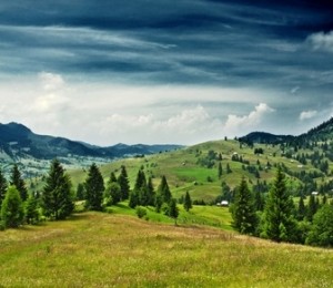 Bucovina