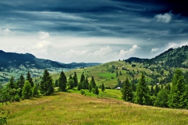 Bucovina