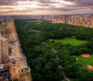 Central Park, New York