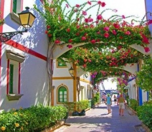 Insulele Canare, Spania