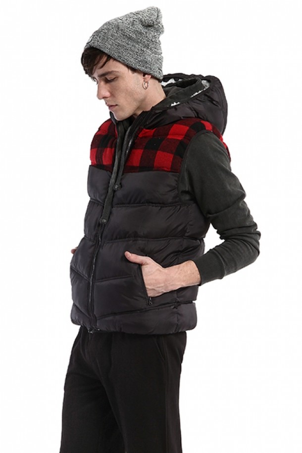 Vesta Terranova, 119 lei