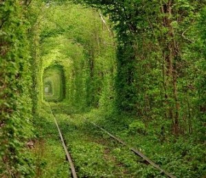 Tunelul Dragostei, Ucraina