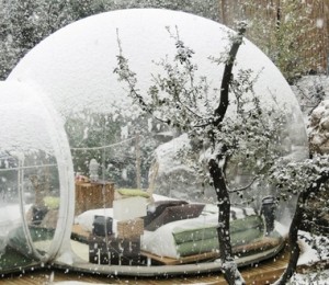 Attrap Reves, Franta