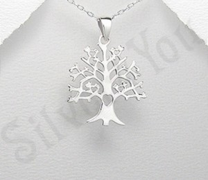 silver4you.ro, 79 lei